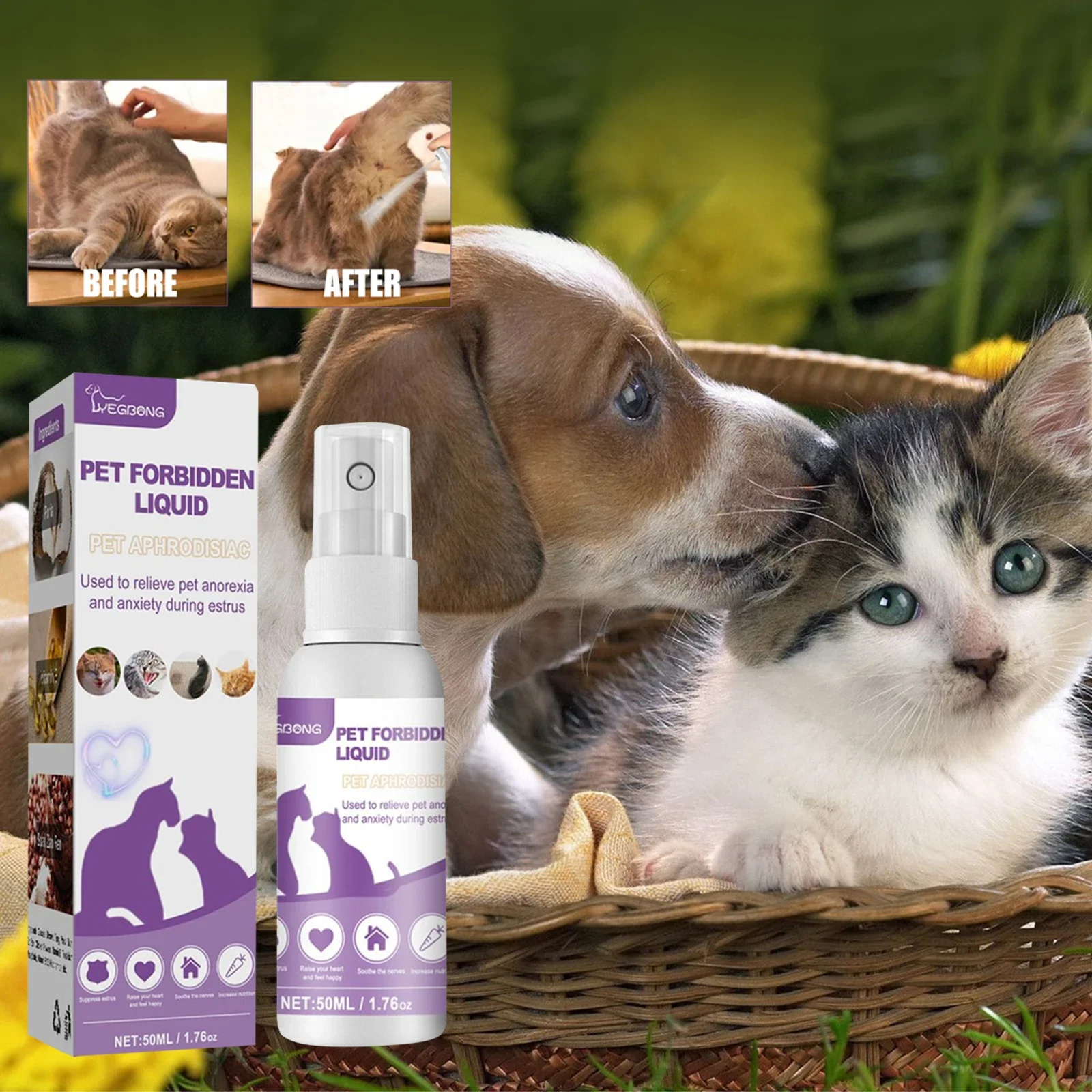 Store Home Products Outdoor Fun Feedback