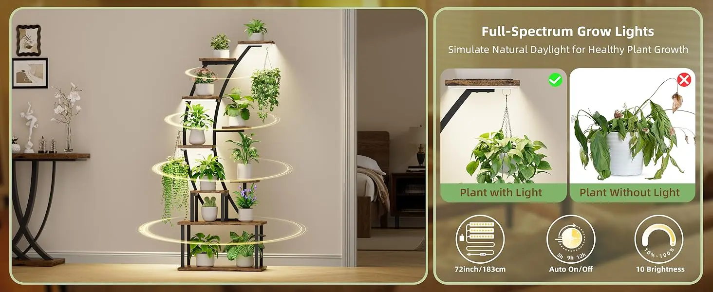 plant stand indoor