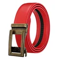 Red-Rusty Buckle