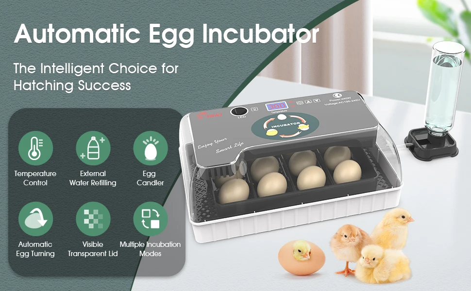 egg incubator overview