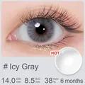 Icy Gray