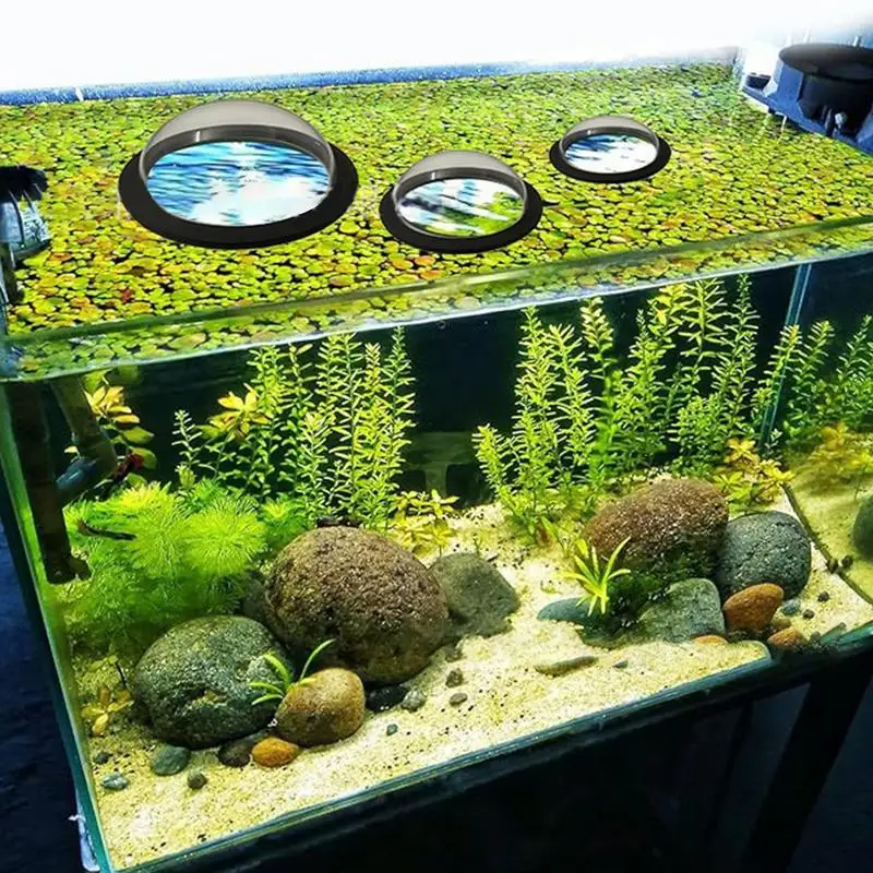 Aquarium Floating Plant Ring Dome Shape Fish Tank Plant Ring Aquarium Feeding Floating Fish Dome Tank Food