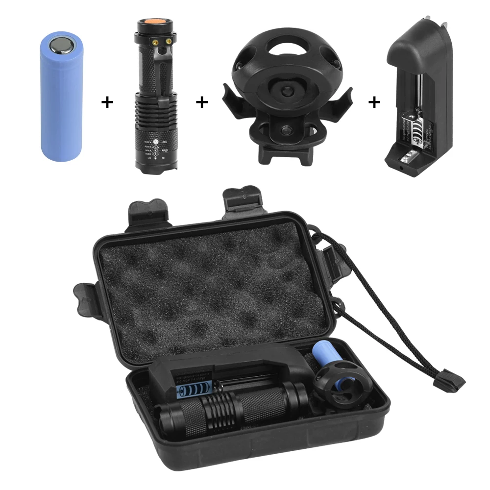 Flashlight with Clip