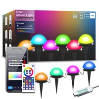 Outdoor LED Light IP65 Smart Wifi USB 10M 20M Voice APP Remote Control Garden Light for Lawn Courtyard Christmas Festival Lamp 1