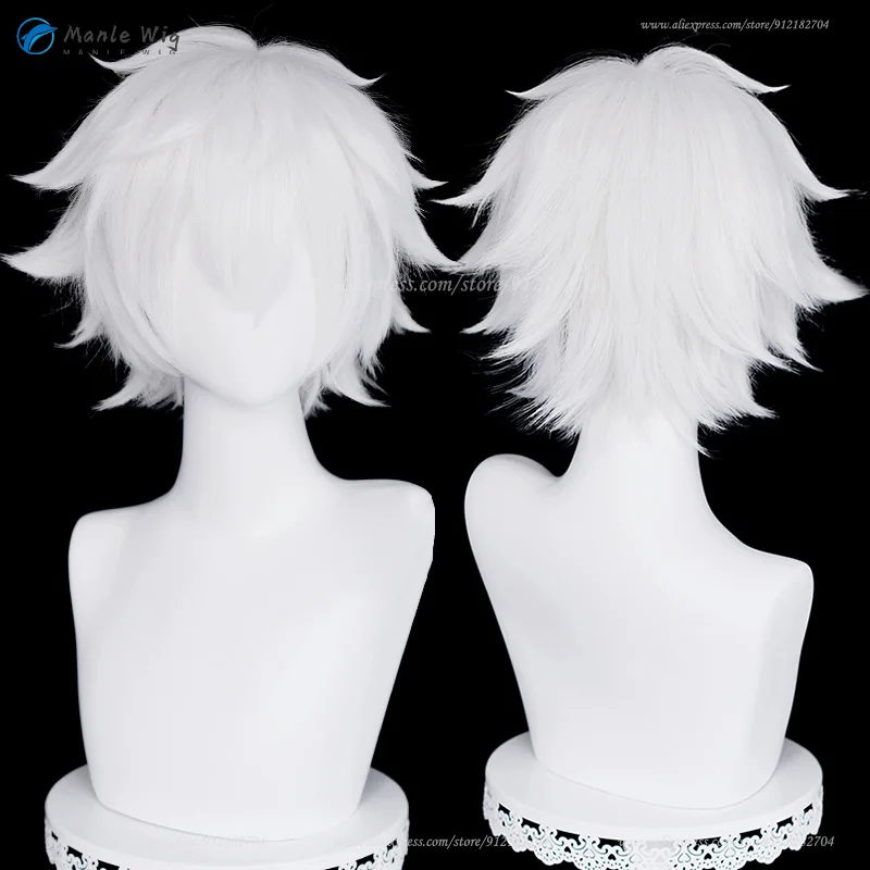 

Lu Guang Cosplay Wig 30cm Short Frizzy Silver White Wig Heat Resistant Synthetic Hair Halloween Party Anime Wigs + Wig Cap