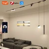 6MM Intelligent ultra -thin light -fitting rail led magnetique surface light  graffiti rail no main lamp living room line light 1