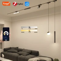 6MM Intelligent ultra -thin light -fitting rail led magnetique surface light  graffiti rail no main lamp living room line light 1