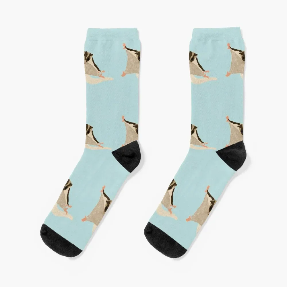 

Sugar Glider Socks colored Men's Women Socks Men's