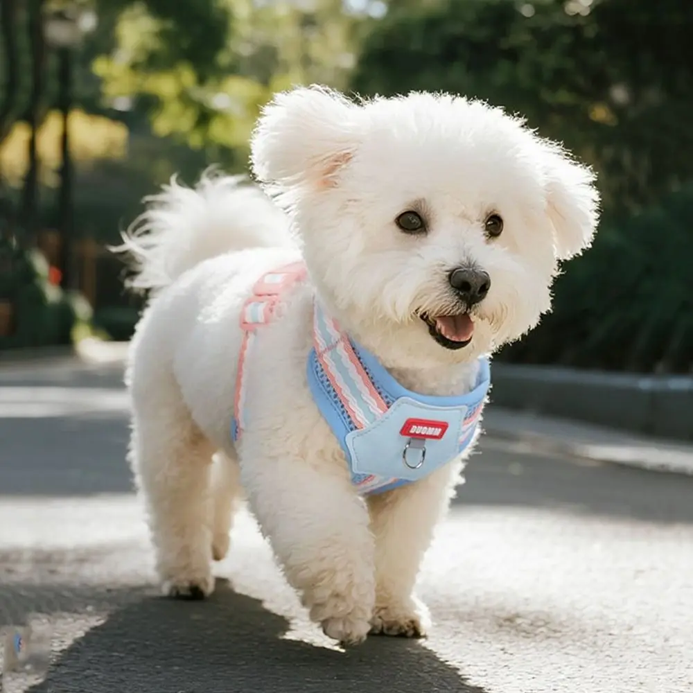 Escape Proof Dopamine Dog Harness Quicklace Soft Pet Chest Strap Breathable Adjustable Cat Jacket Harness for Dogs Cats