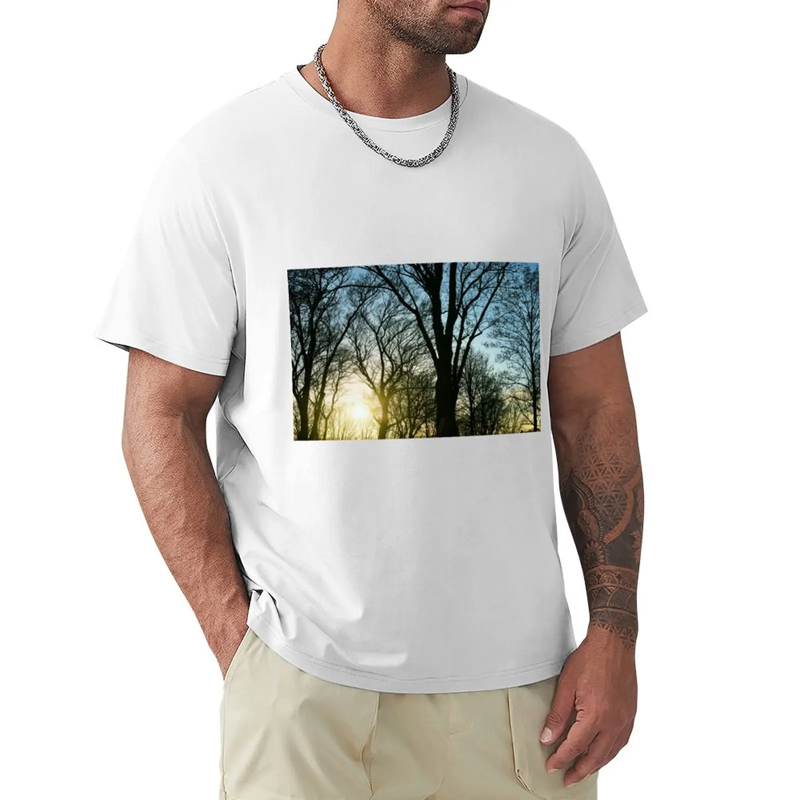 

Leafless tree on a winter evening at sunset T-shirt for a boy oversized men graphic t shirts