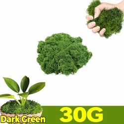 Eternal Life Faux Moss Decor for DIY Craft and Mini Landscape (Dark Green - 30G)
