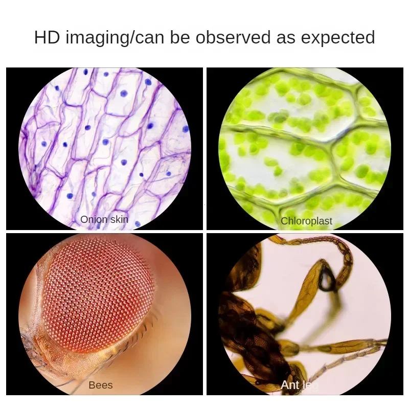 Handheld Microscope Kit Lab LED Light 80X-160X Home School Biological Science Educational Toy for Children Birthday Gift Outdoor