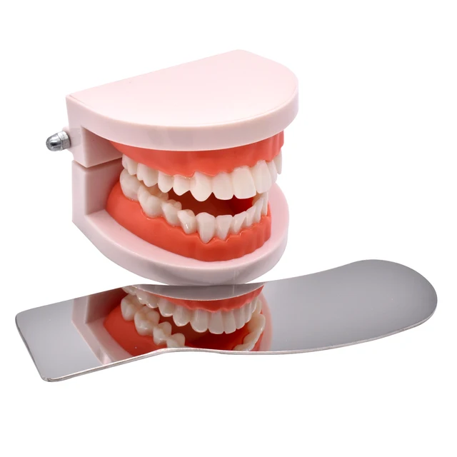 Miroir Anti-buée dentaire, pour la photographie buccale dentaire,  réflecteur Anti-buée, orthodontique, Occlusal, fournitures dentaires -  AliExpress