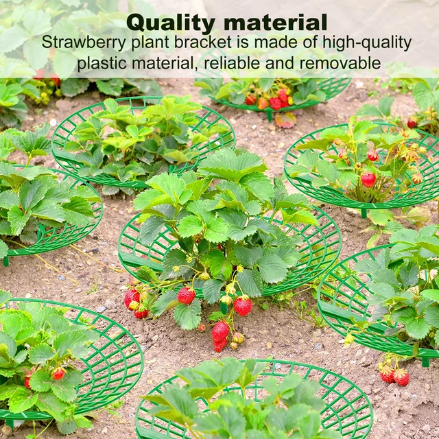1/2/5/10Db Strawberry Támogatás A Növényi Gyümölcs Állványtermelő Kerti Szerszámok Szőlő Védelme Érdekében Kerülje Talajt - Image 4