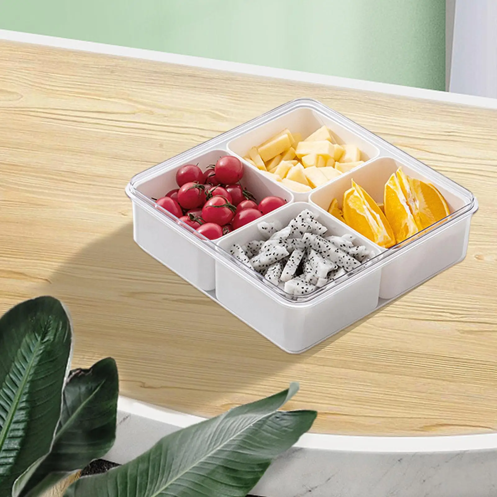 Catering Organizer Tray with Lid Reusable for Fruits Sweets  Dessert