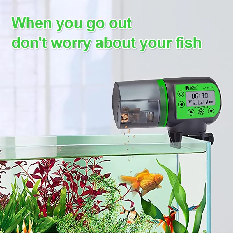 Mangeoire numérique automatique sans fil pour poissons, outil de minuterie  intelligente pour aquarium, sécuritaires précieux, simple et durable -  AliExpress