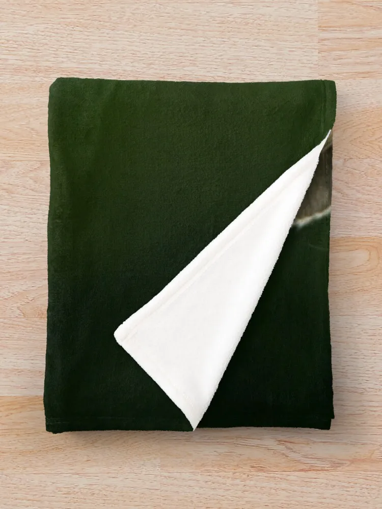 �ʱ��� ������ ���, ���� ���� ���, ��Ƽ�� ���, ǫ���ϰ� �ε巯�� ���