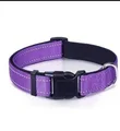 Purple collar