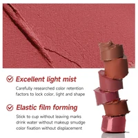 Velvet Soft Mist Matte Lipstick, Long-Lasting,Sweat-Proof, Non-Touch Cup, Smudge-Proof Lip Tint With High Color Rendering 5
