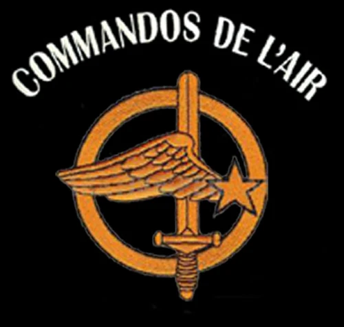French Air and Space Force Air Commando "Sicut Aquila" T-Shirt Short Sleeve Casual 100% Cotton O-Neck Summer Mens T-shirt 3