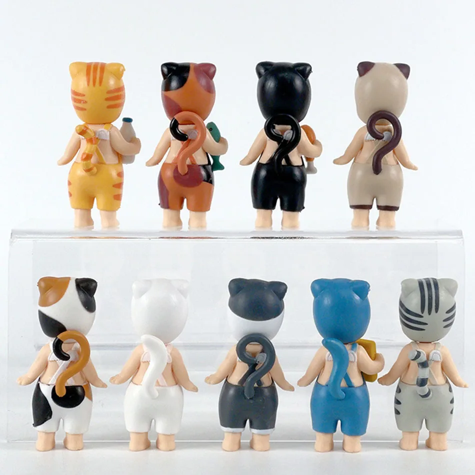 dsc-products