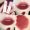 Velvet Matte Lip Gloss - Long-lasting, highly pigmented liquid lipstick in brown, pink, purple, red shades - for a portable dail 1