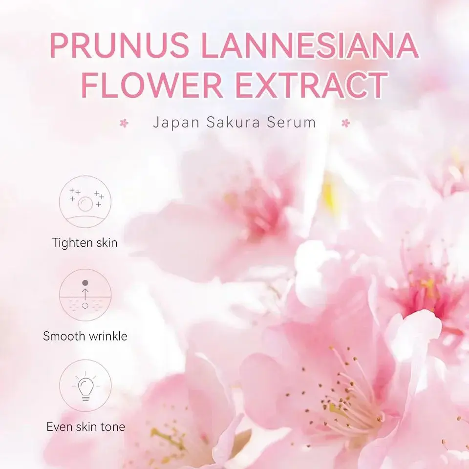 Sakura Whitening Face Serum Fade Fine Lines Anti Aging Tighten Pores Improve Melanin Pigment Dull Moisturizer Brighten Skin Care 4