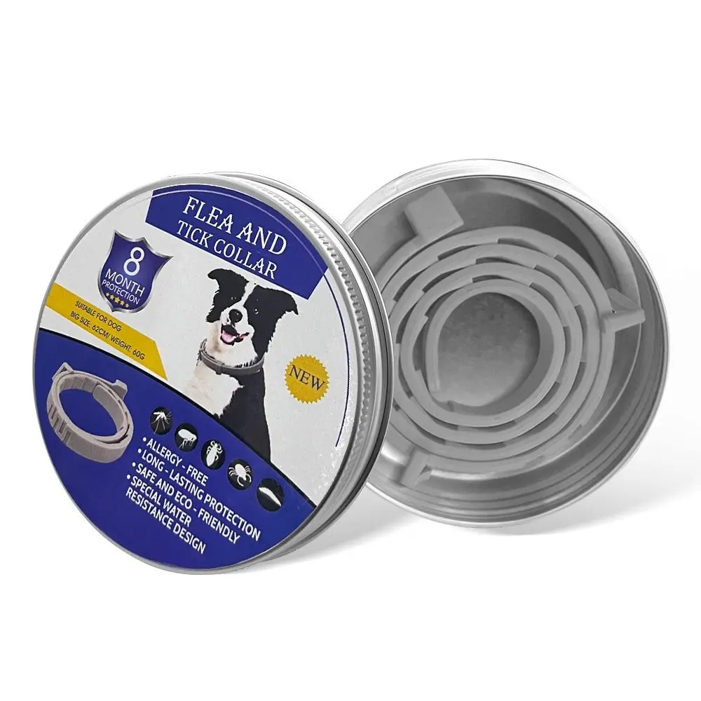 Dog Gray