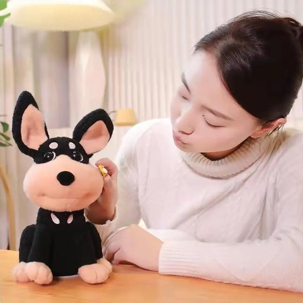 Рисунок 5 - Электрическая игрушка для собак