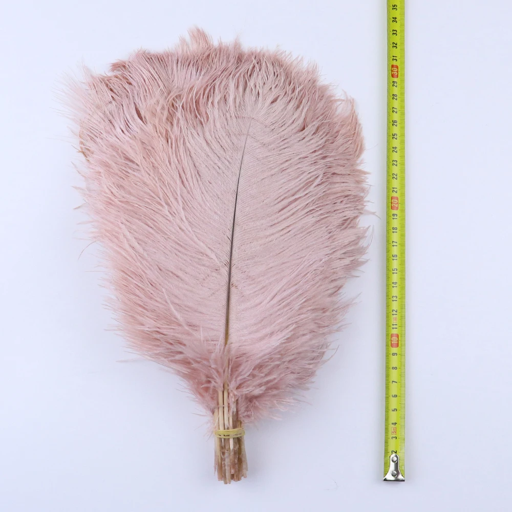 Plumes d'autruche blanches pour centre de table de fête, décoration en porcelaine, plumes naturelles, bijoux exécutifs, accessoires d'artisanat, 15-30cm, 10 pièces