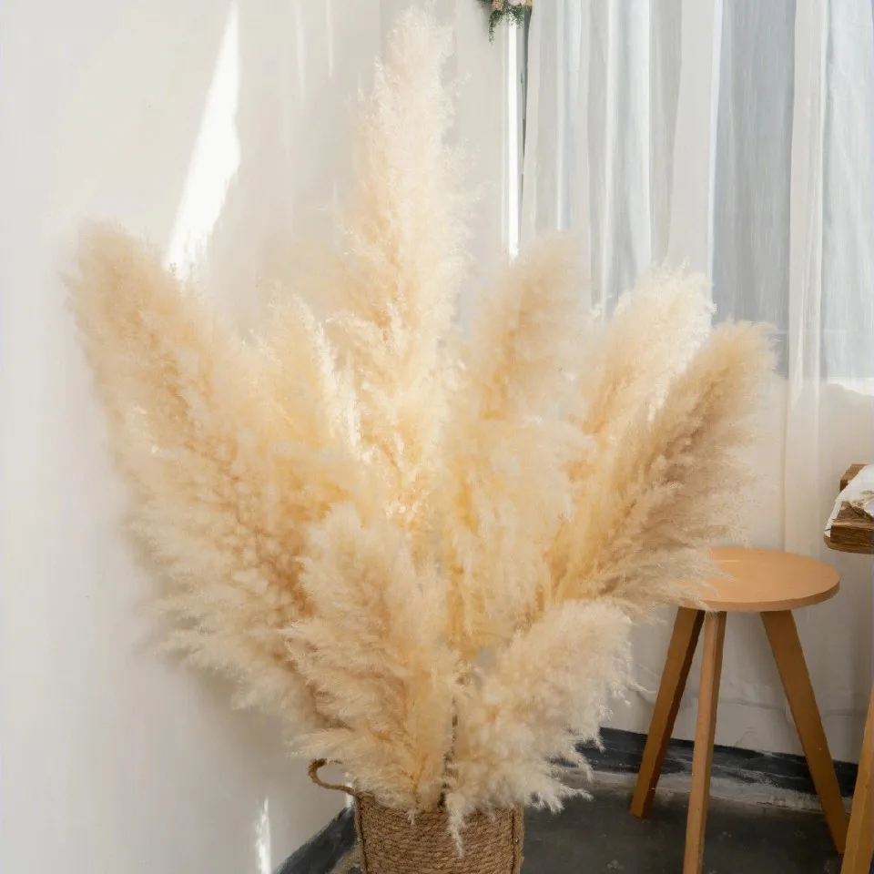 

80-120cm Pampas Grass Extra Large Natural White Grey Dried Flower Bouquet Fluffy for Home Boho Decor Wedding Flower Decoration