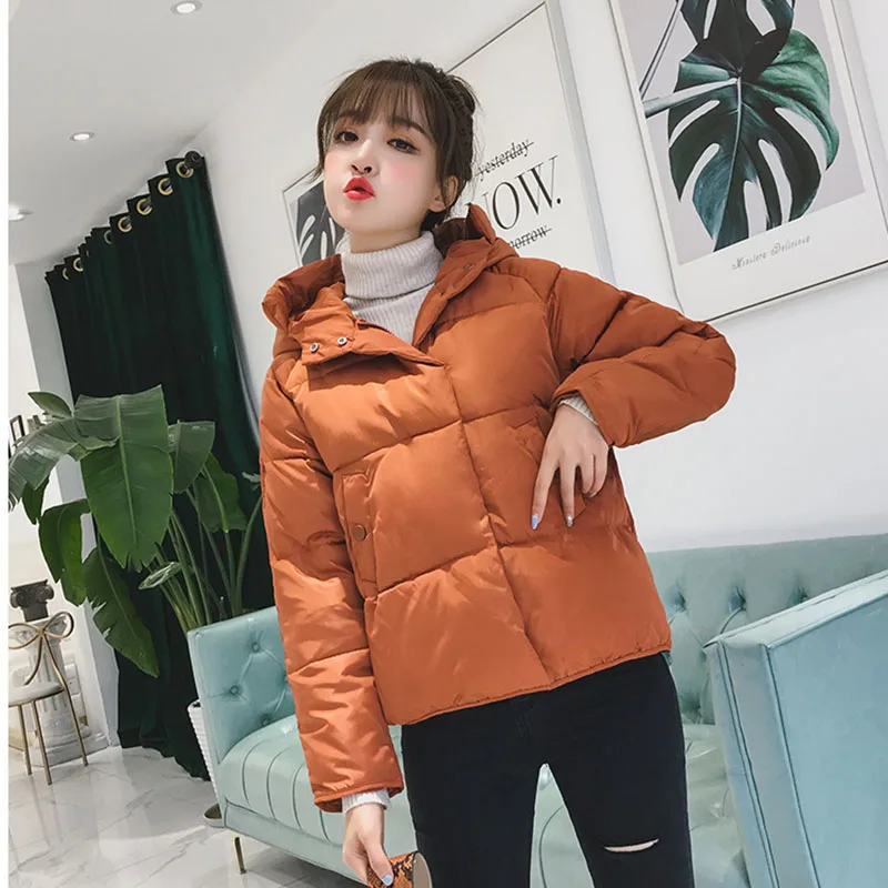 

Parker Cotton Jacket Women's Winter Korean Version Of The New Hooded Solid Color Long-sleeved Zipper Short Fashion Commuter Top