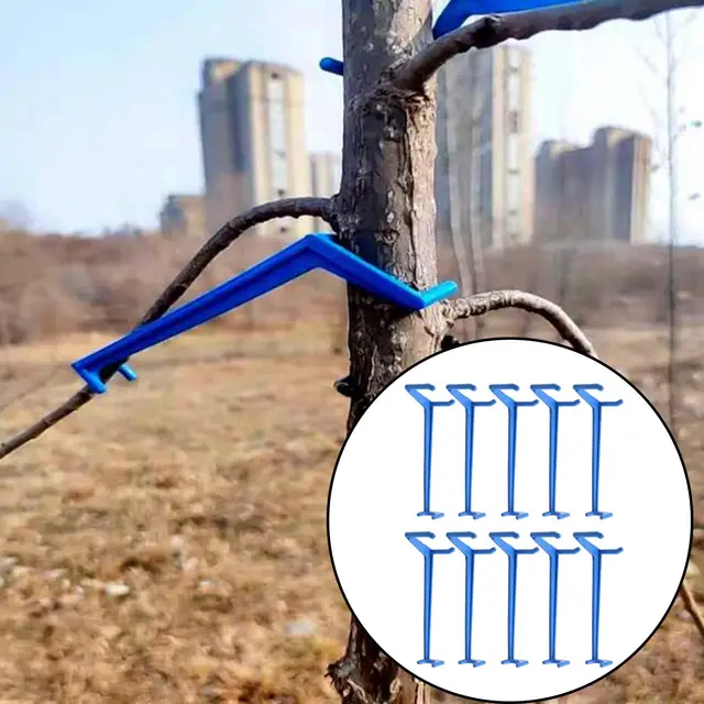 10 Gyümölcsfa Húzó Accs Ág Rögzítője Újrahasznosítható Bonsai Modellező Eszköz A Vezérlőüzemekhez Állítható Az Alacsony Stressz Edzéshez - Image 4