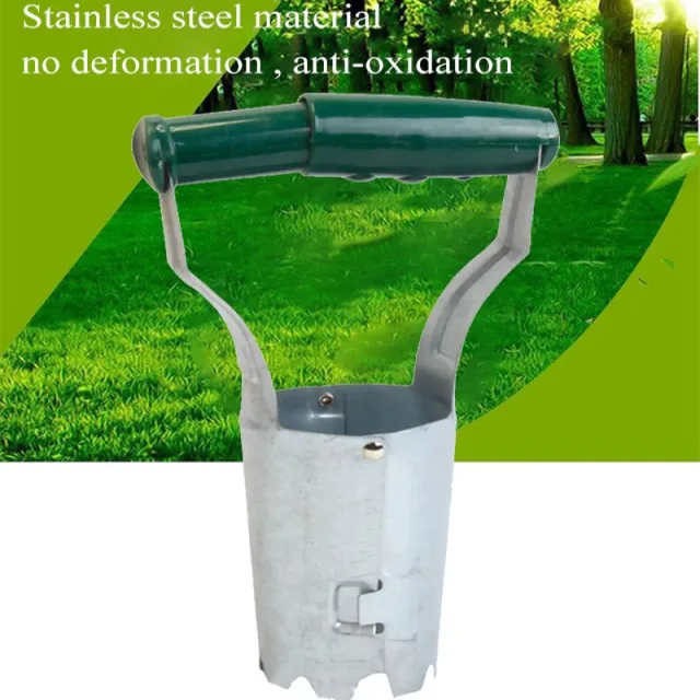 A Beépített Palánta Indító Növekszik Növény Optimális Növekedése Érdekében - Image 2