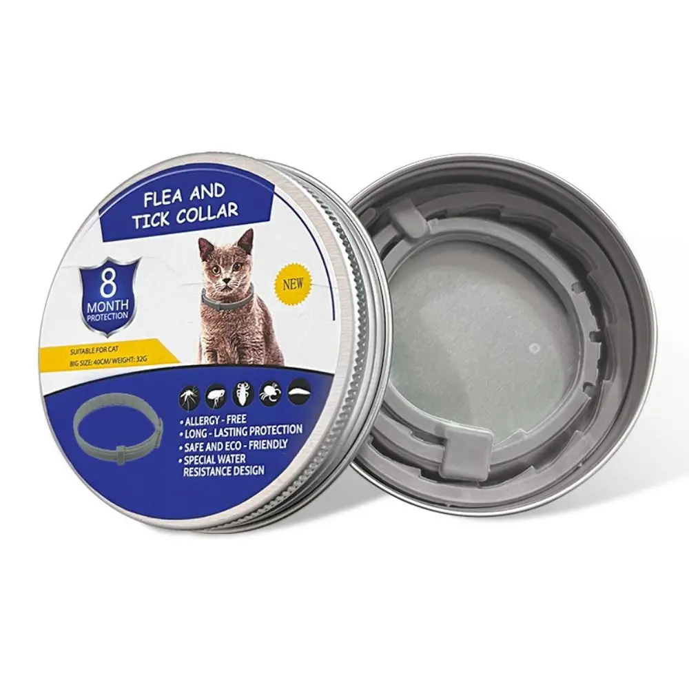 Cat Gray