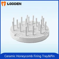 Looden Dental Lab Honeycomb Firing Trays and Zirconia Ceramic Pins Dental Technician Supplies 2pcs Tray and 20pcs Pins/pack set