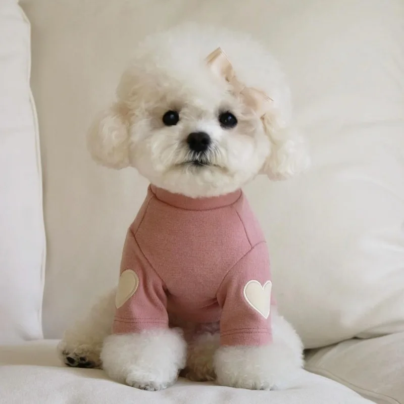귀여운 사랑스러운 곰돌이 테디 요크셔 후드티 강아지 베이스 셔츠 - 가을 겨울 따뜻한 애완동물 옷 디자이너 강아지옷 (고양이용)