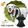 Dog Tuxedo Adjustable Harness No Pull for Small Medium Large Boys Dogs Cat Puppy Dog Wedding Suit with Bow Tie Pet Party Costume