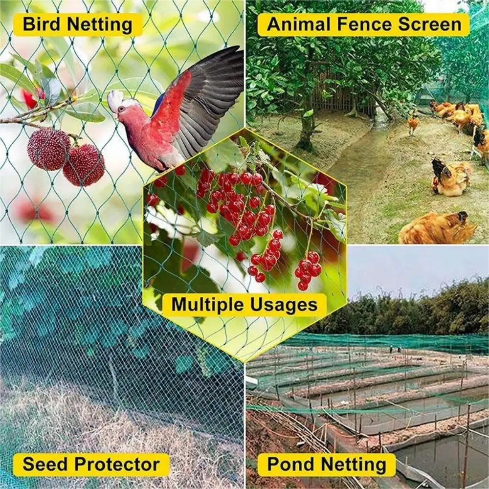 Rete per Uccelli Nylon Anti Piccioni da Balcone, Rete Protezione Giardino Resistente per Frutteto, Laghetti, Stagni, Piante e Verdure, Trasparente (Mesh : 2.5cm, Size : 3m x 5m