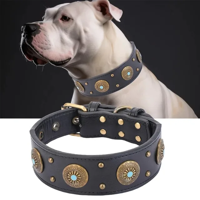 Dog Harness and Leash Set Things Animals Supplies Dogs Accessories Large Material Yorkshire Terrier Pet Products Pets Medium So Dog Harness and Leash Set Things Animals Supplies Dogs Accessories Large Material Yorkshire Terrier Pet Products Pets Medium So