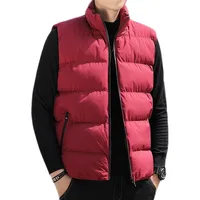 Large Size Winter Casual Vest Svel Quilted Jaet Warm Stand Collar Trendy Autumn Winter Jaet for Men