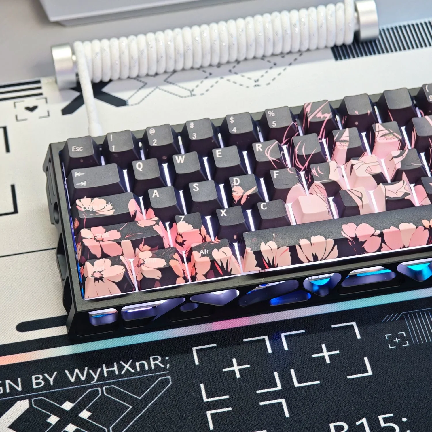 dsc-products