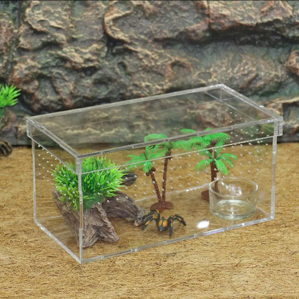 Plastic Reptile Vivarium Terrarium Easy to Observe with Reptile Terrarium Accessories for Small Animal Care