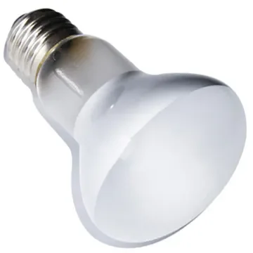 High-Performance 220V Reptile Basking Light Bulb: 75W & 100W Options for All-Year Round Comfort