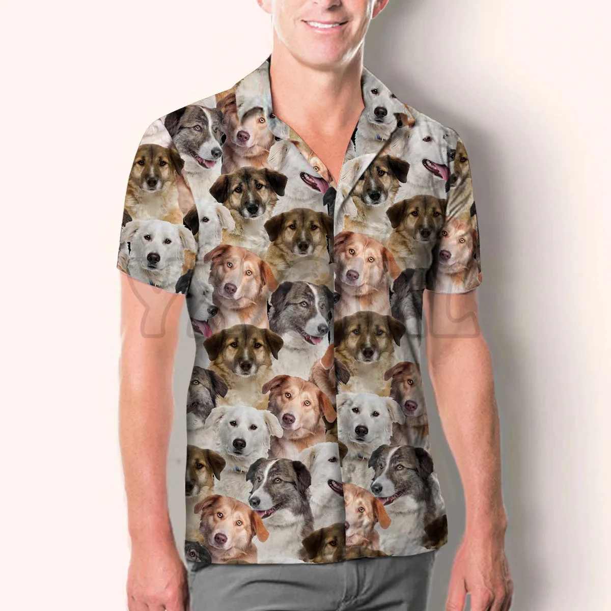 

You Will Have A Bunch Of Aidies Hawaiian Shirt 3D All Over Printed Hawaiian Shirt Men's For Women's Harajuku Casual Shirt Unisex
