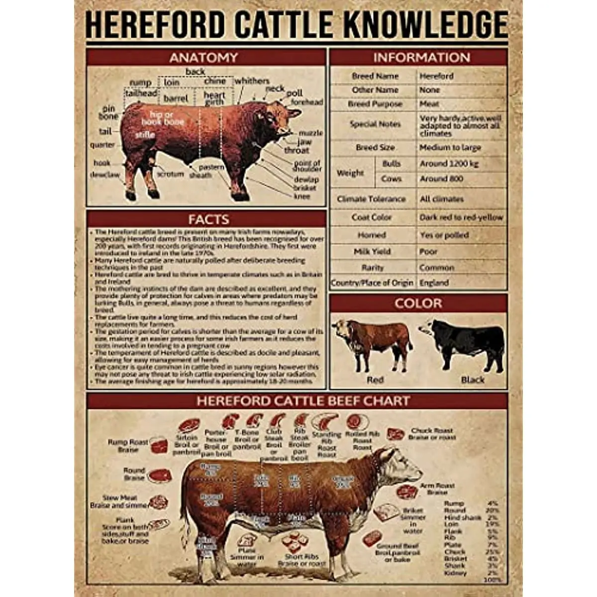 

Hereford Cattle Knowledge Metal Tin Sign Country Farmhouse Living Room Kitchen Bathroom Home Art Wall Decoration Plaque Gift