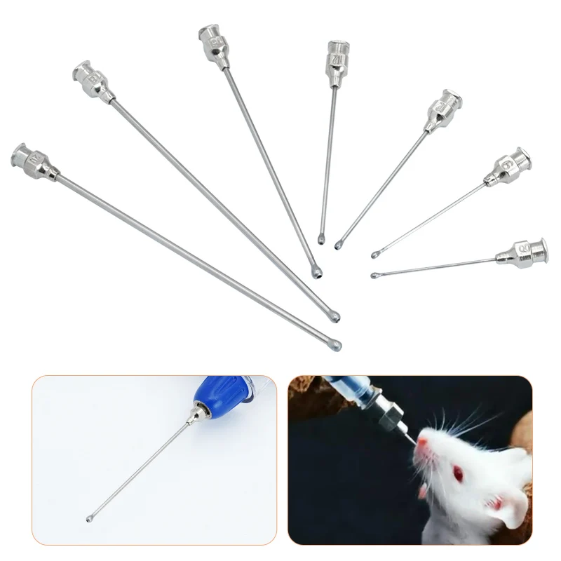 Haustier Fütterung Spritze Geflügel Fütterung Medizin Nadel Rohr Edelstahl Gerade Nadel Katzen Hunde Hamster Futter Wasser Nadeln – Detail 4