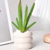 Ceramic creative succulent circle flowerpot simple desktop decoration 1