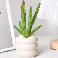 Ceramic creative succulent circle flowerpot simple desktop decoration 1