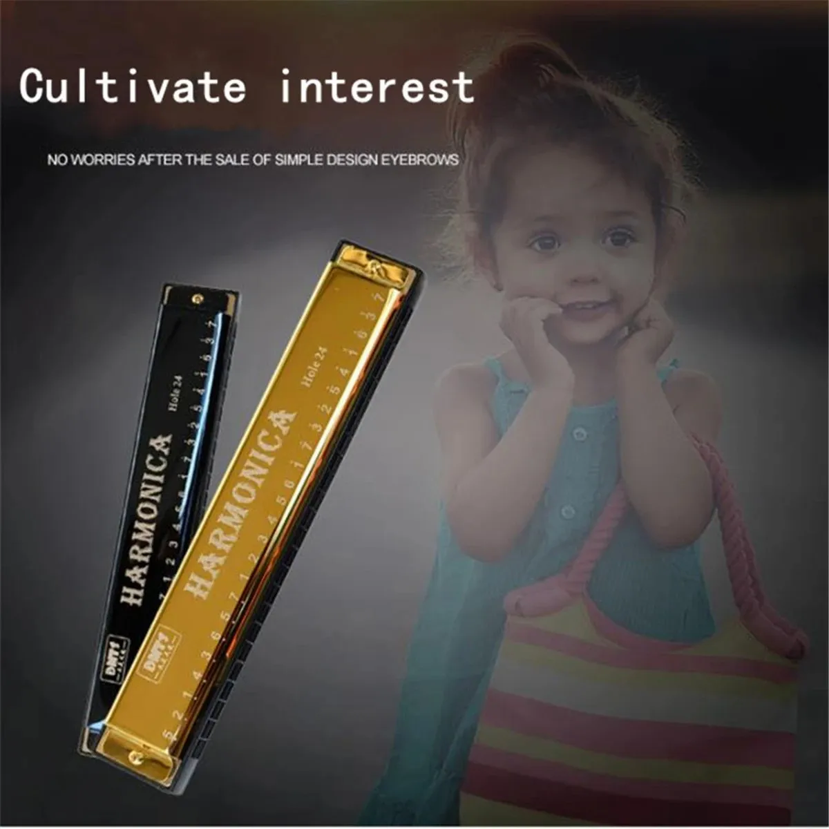 Metal Harmonica 24 Hole Mouth Organ for Beginners with Case